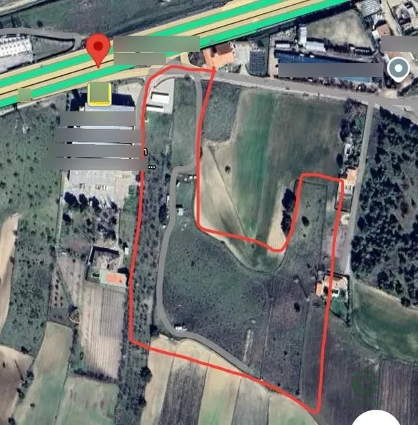 Spot image