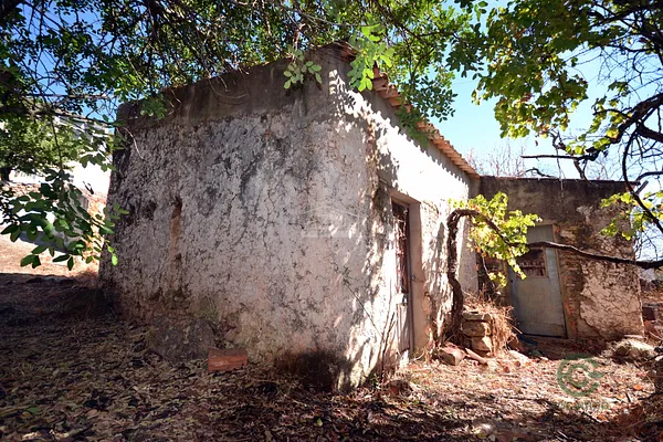Spot image