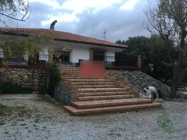 Spot image