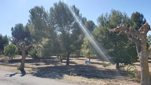 Terreno urbano de 0,08 ha en venta en Beneixama, Alicante