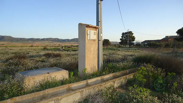 Spot image
