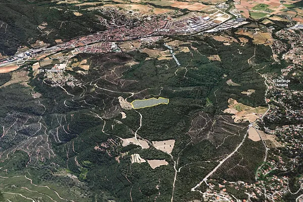 Spot image