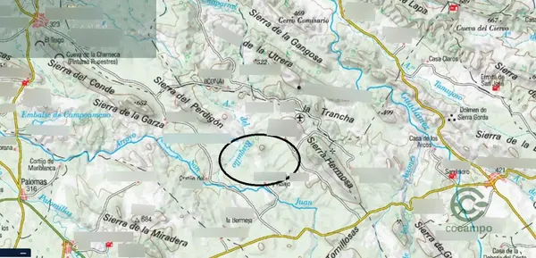 Spot image