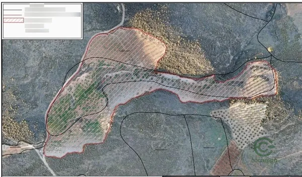 Spot image
