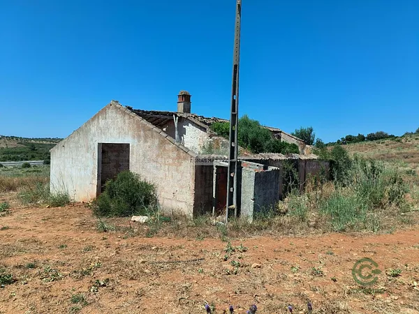 Spot image