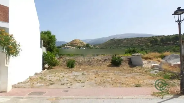 Spot image
