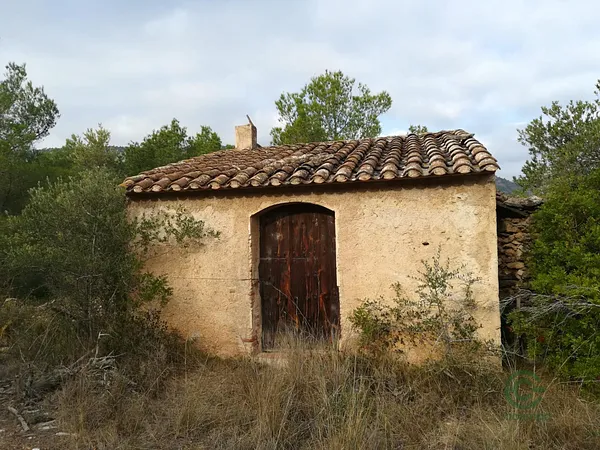 Spot image