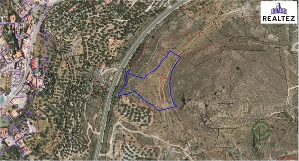 Spot image