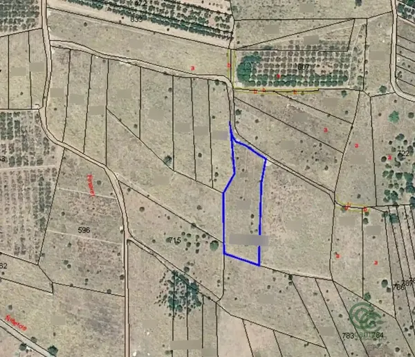 Spot image