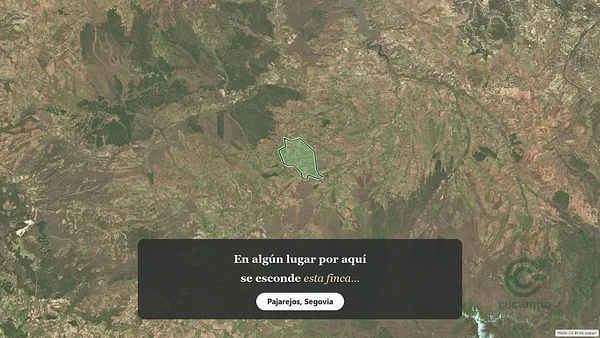 Spot image