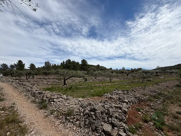 Finca agrícola de 1,5 ha en venta en Castellón