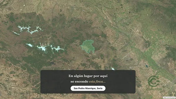 Spot image