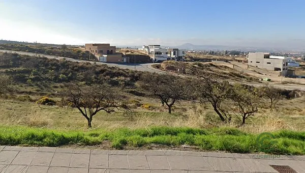 Spot image
