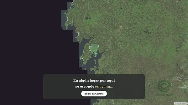 Spot image