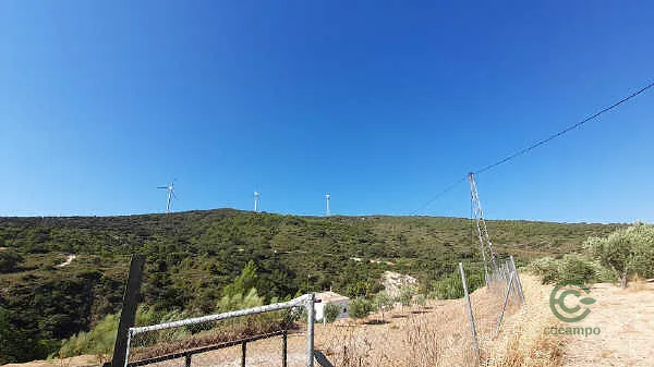 Finca rústica de 0,5 ha en venta en Osuna, Sevilla