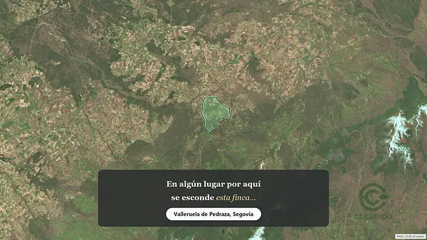 Spot image