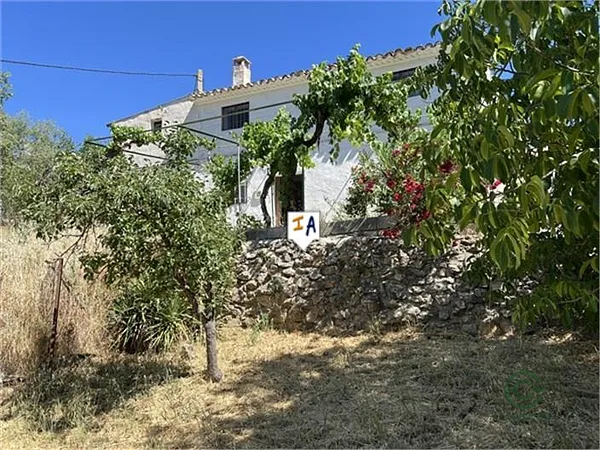 Spot image