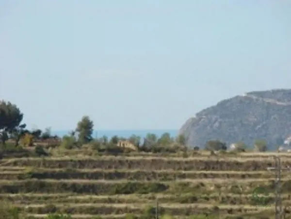 Spot image