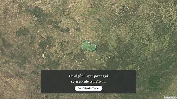 Spot image