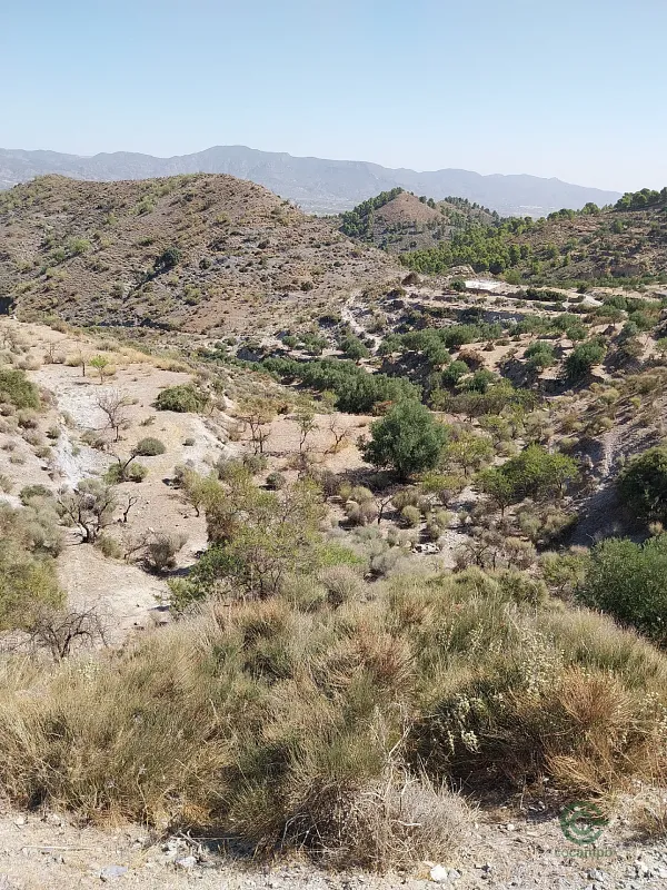 Finca rústica de 73 ha en alquiler en Almería