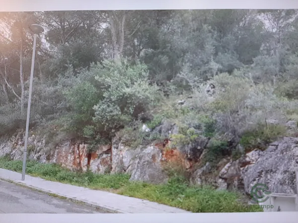 Spot image