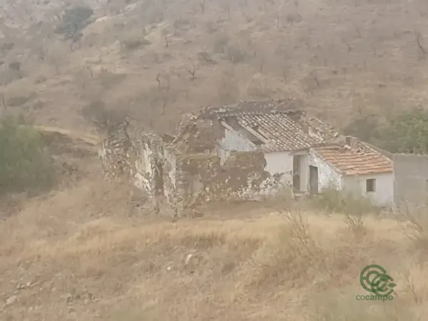 Finca rústica de 3,4319 ha en venta en Estacion de cartama, Malaga