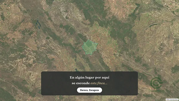 Spot image