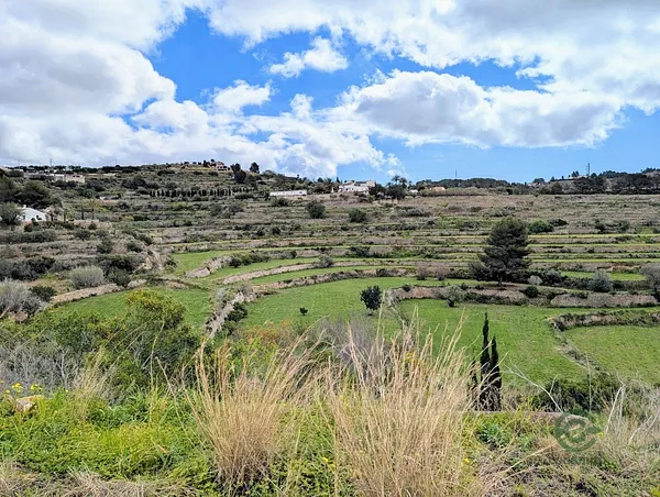 Spot image