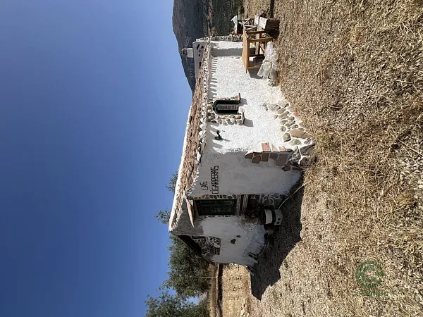 Spot image