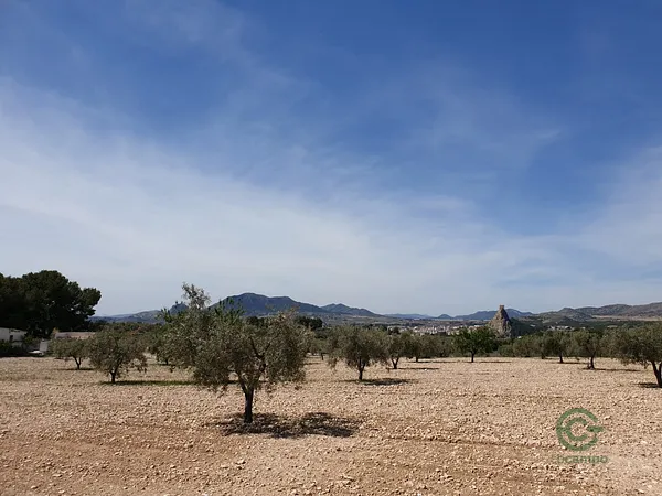 Spot image