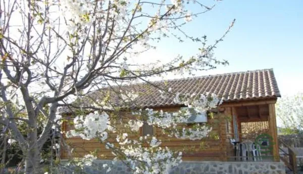 Spot image