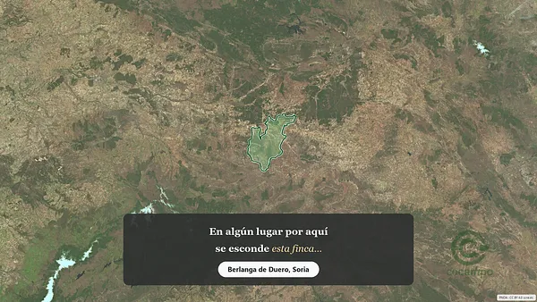 Spot image