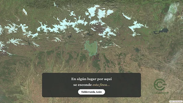 Spot image