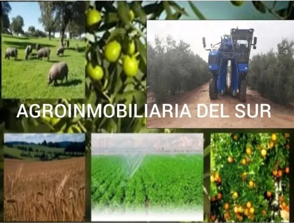 Finca rústica de 3 ha en venta en Sevilla