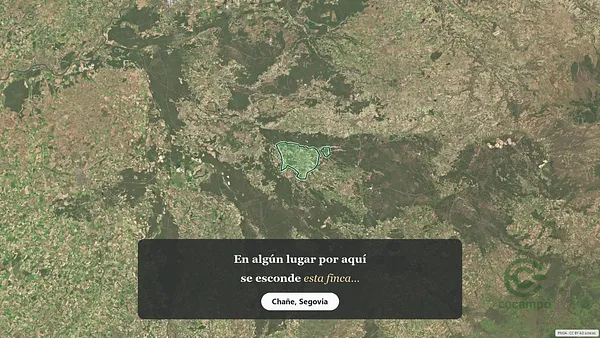Spot image