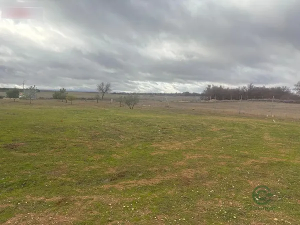 Finca rústica de 550 ha en venta en Toledo, Toledo