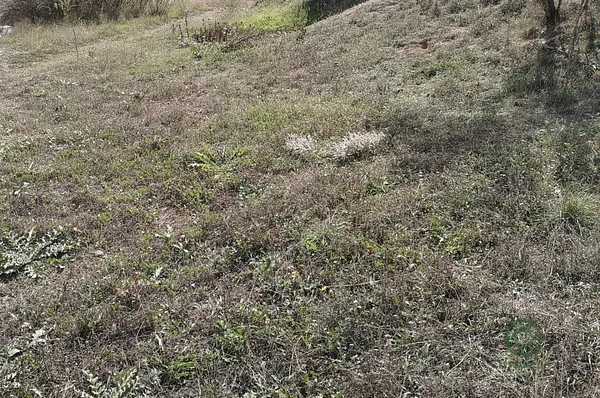 Terreno urbano de 0,404 ha en venta en Fuentealbilla, Albacete