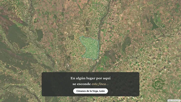 Spot image