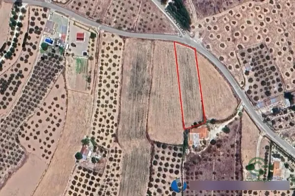 Spot image