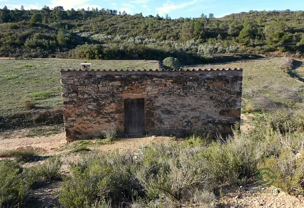 Spot image