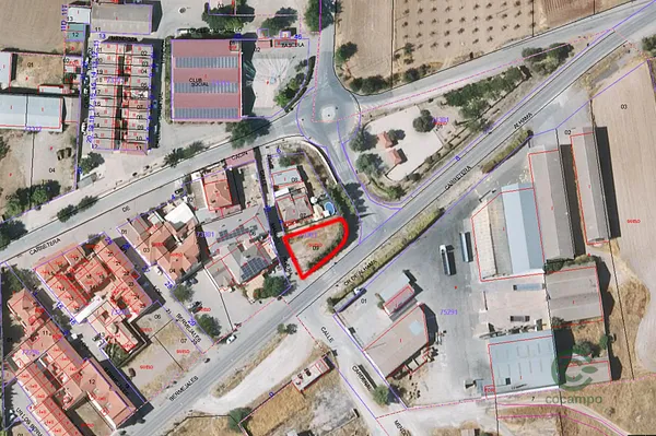 Spot image