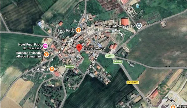 Spot image
