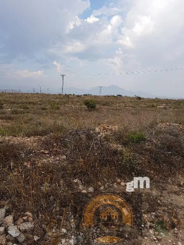 Spot image