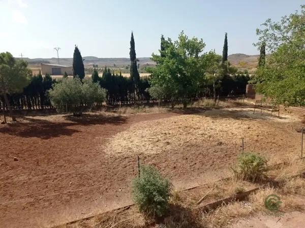 Spot image