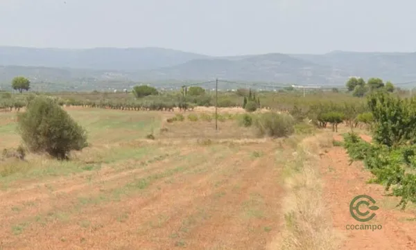 Spot image