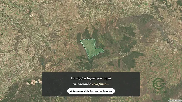 Spot image