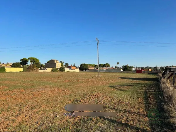 Spot image