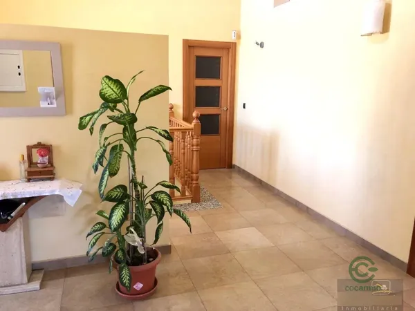 Spot image