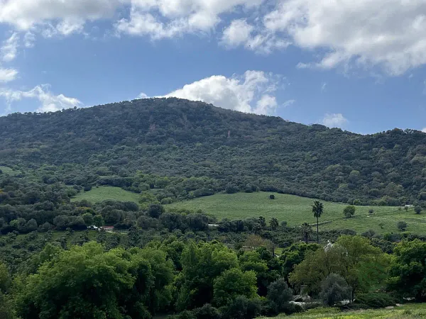 Finca rústica de 35,5 ha en venta en Málaga