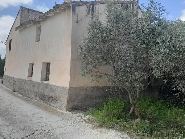 Spot image